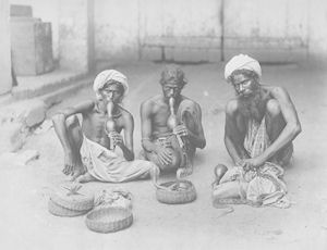 Snake Charmers