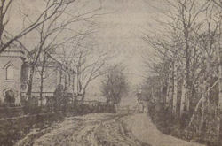 Seaview Road, 1890s